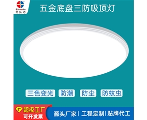 五金鐵底盤三防吸頂燈
